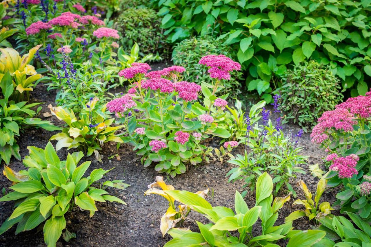 City Center Garden Camping Tallinn Ngoại thất bức ảnh