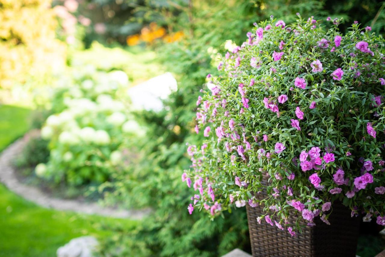 City Center Garden Camping Tallinn Ngoại thất bức ảnh